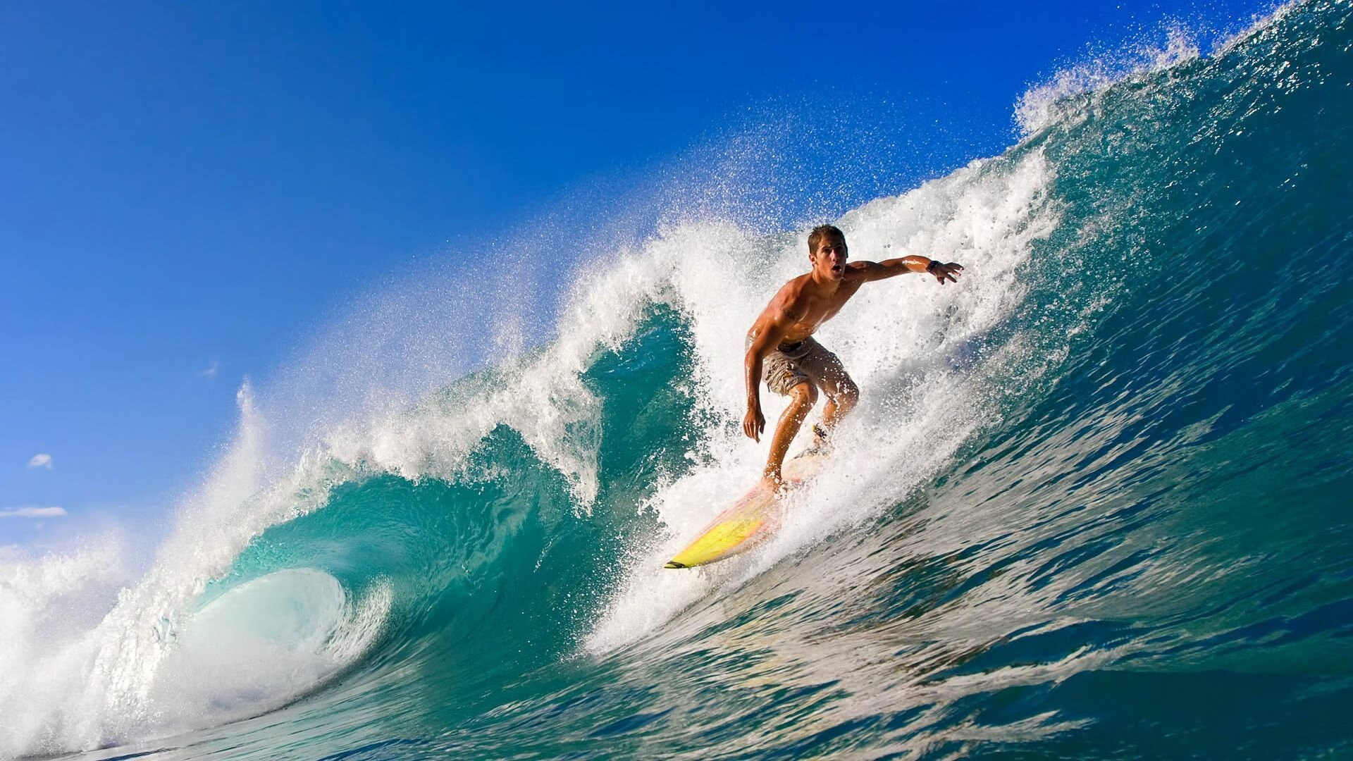 Ming关键节点问鼎冠军，澳大利亚队带队取胜！